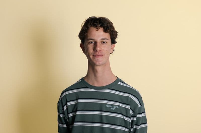 Steijn